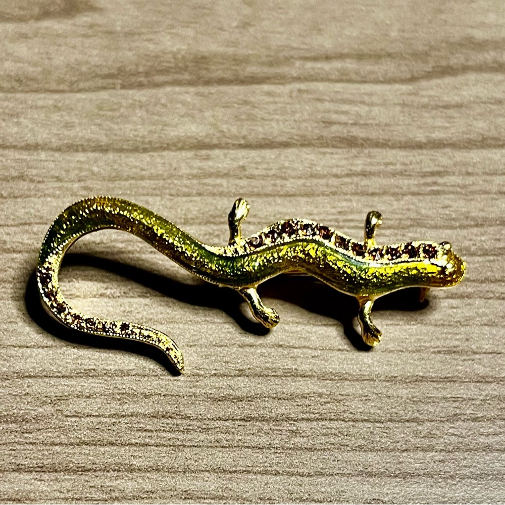 Vintage lizard brooch.